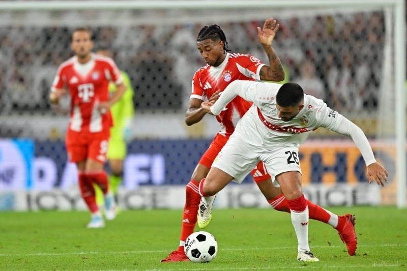 深度解读及, 小红书足球, 赛精选赛事 深度解读及, 小红书足球, 赛精选赛事